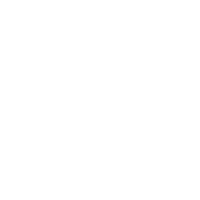 sg-icon-bin